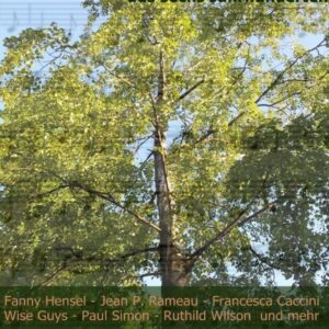 Flyer Sommerkonzert 2018